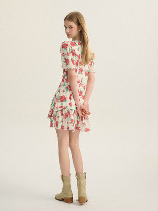 Rosa v neck mkni dress