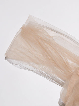 Amber Breeze Tulle Maxi Dress