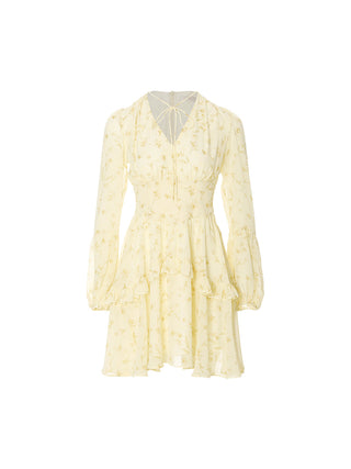 Avenoir Ruffle Mini Dress