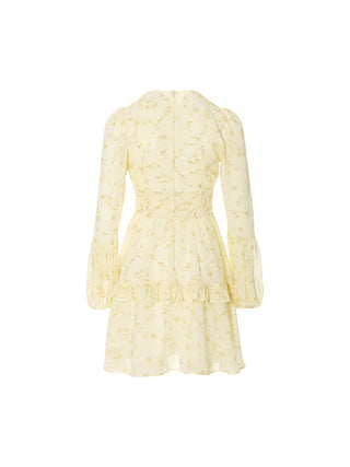 Avenoir Ruffle Mini Dress