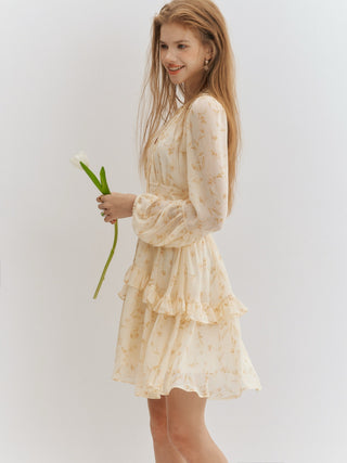 Avenoir Ruffle Mini Dress
