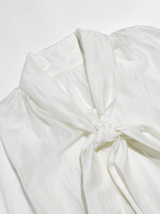 Belle Bow Sheer Blouse Set