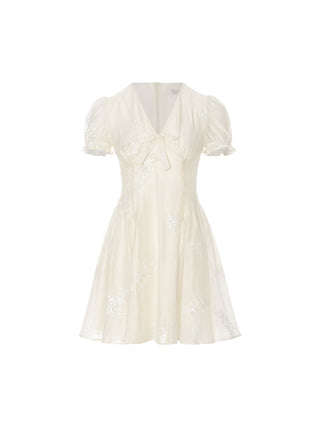 Bisque Embroidered Mini Dress