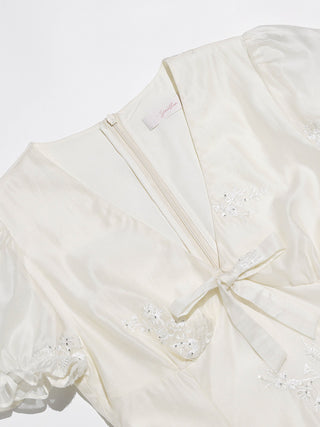 Bisque Embroidered Mini Dress