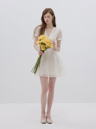 Bisque Embroidered Mini Dress
