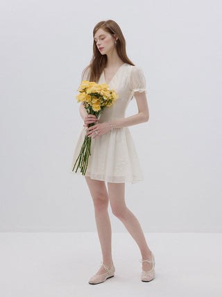 Bisque Embroidered Mini Dress