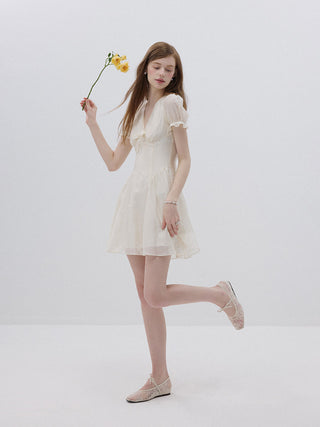 Bisque Embroidered Mini Dress