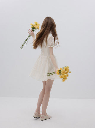 Bisque Embroidered Mini Dress