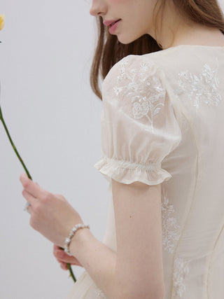 Bisque Embroidered Mini Dress