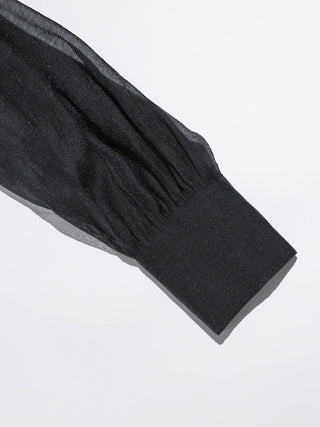 Black Sheer Blouse