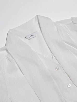 Camielle Sheer Tie Blouse