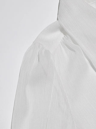 Camielle Sheer Tie Blouse