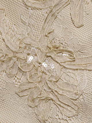 Champagne Veil Maxi Dress