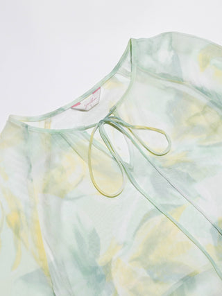 Chiffon Breeze Sheer Mini Dress Set