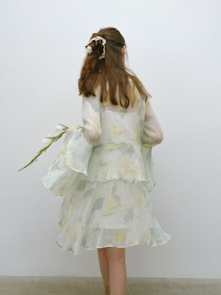 Chiffon Breeze Sheer Mini Dress Set
