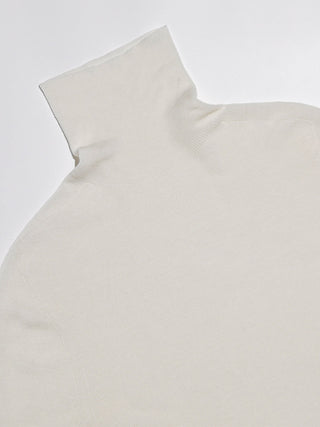 Cozy Turtleneck Top Ivory