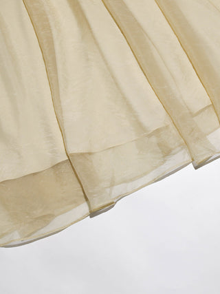 D’Elia Chiffon Maxi Dress