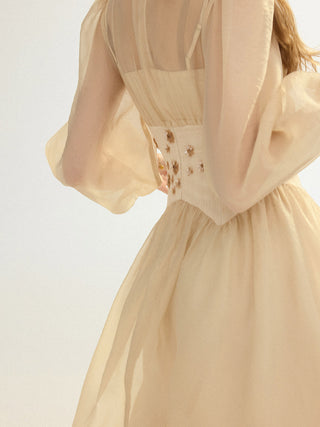D’Elia Chiffon Maxi Dress