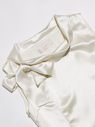 Elegance Ribbon Mini Dress