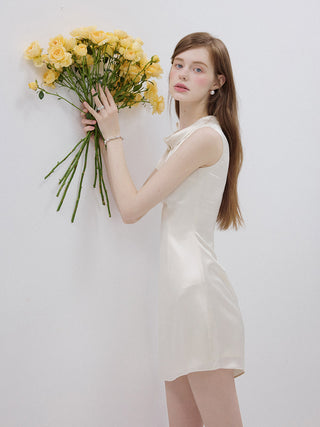 Elegance Ribbon Mini Dress