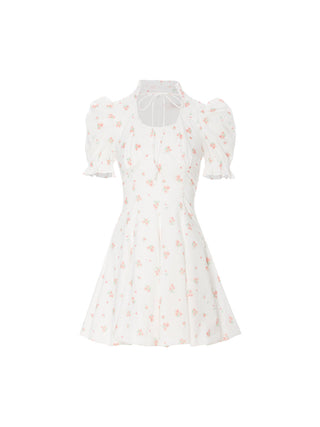 Fable Balloon Mini Dress