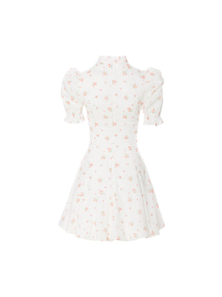 Fable Balloon Mini Dress