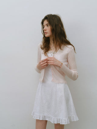 French Embroidery Mini Dress