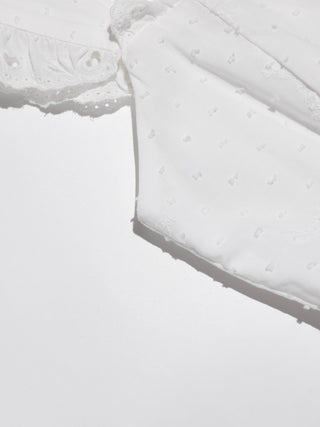 French Embroidery Mini Dress