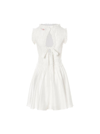 Lace Poem Mini Dress