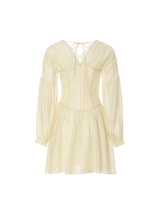 Lueur Shirring Mini Dress