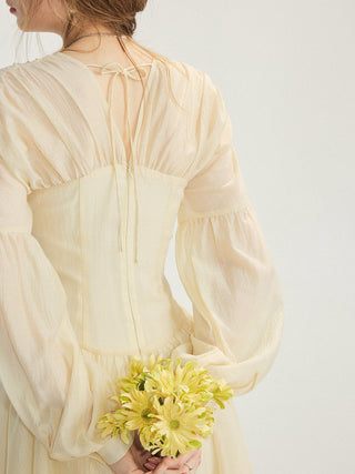 Lueur Shirring Mini Dress