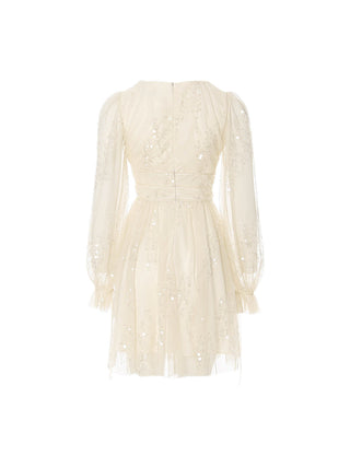 Luminous Sequin Mini Dress