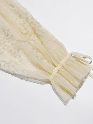 Luminous Sequin Mini Dress