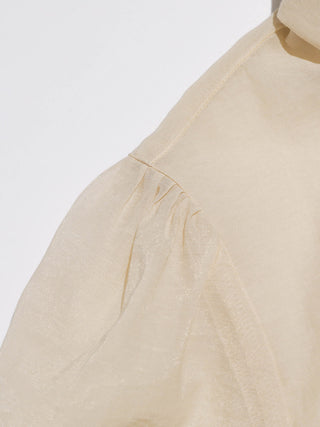 Nudi Beige Sheer Blouse