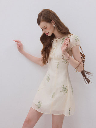 Ophelia Embroidered Mini Dress