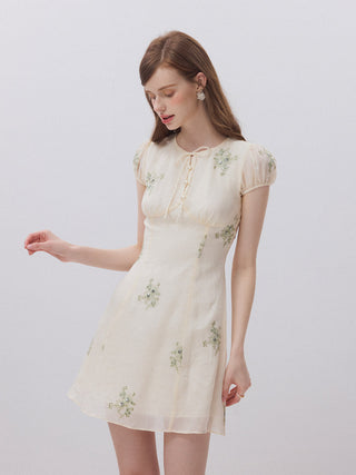 Ophelia Embroidered Mini Dress