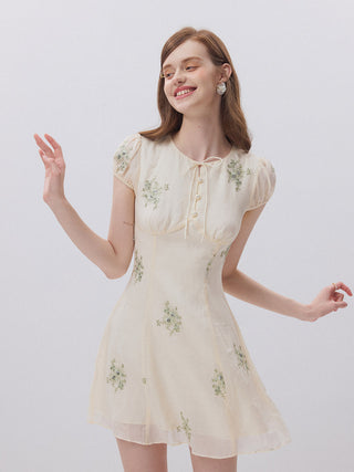 Ophelia Embroidered Mini Dress