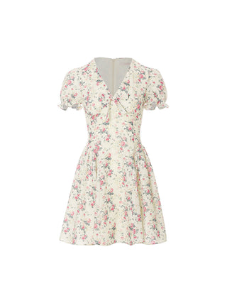 Pretty Rose Mini Dress