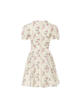 Pretty Rose Mini Dress