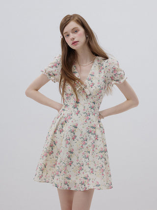 Pretty Rose Mini Dress