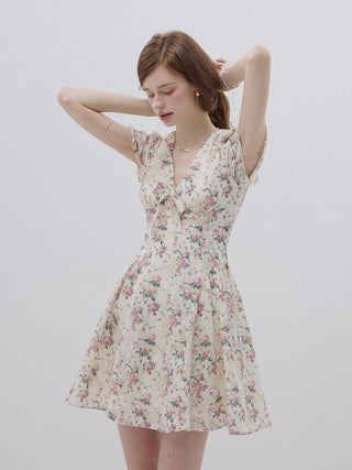 Pretty Rose Mini Dress