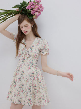 Pretty Rose Mini Dress