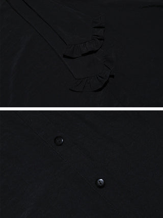 Ruffle Tie Sheer Blouse