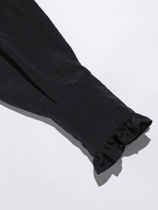 Ruffle Tie Sheer Blouse