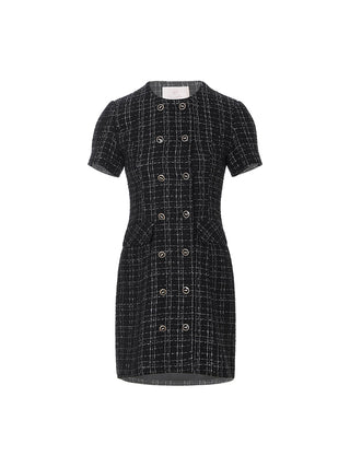 Silverline Tweed Mini Dress