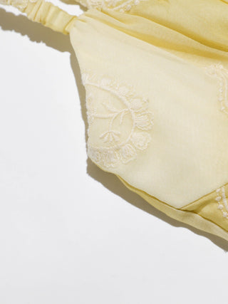 Sunny Paisley Embroidered Mini Dress