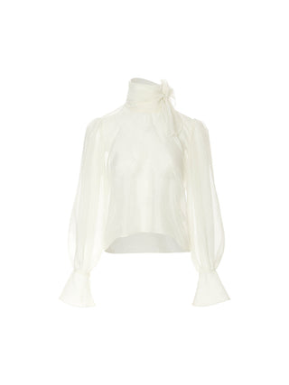 Swan Scarf Blouse Set