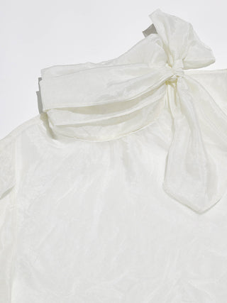 Swan Scarf Blouse Set
