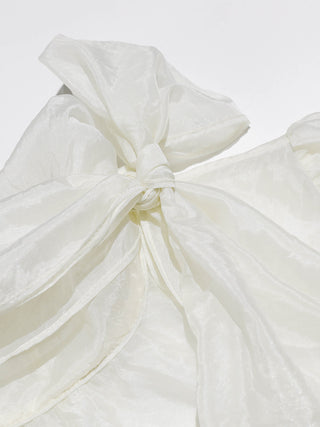 Swan Scarf Blouse Set