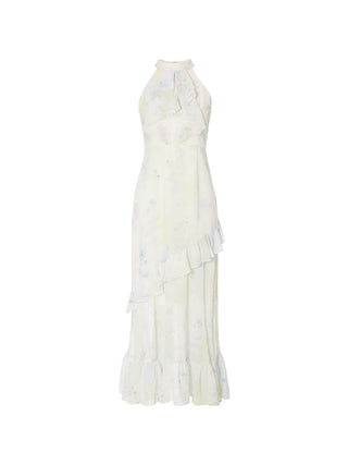 Water Garden Halterneck Maxi Dress